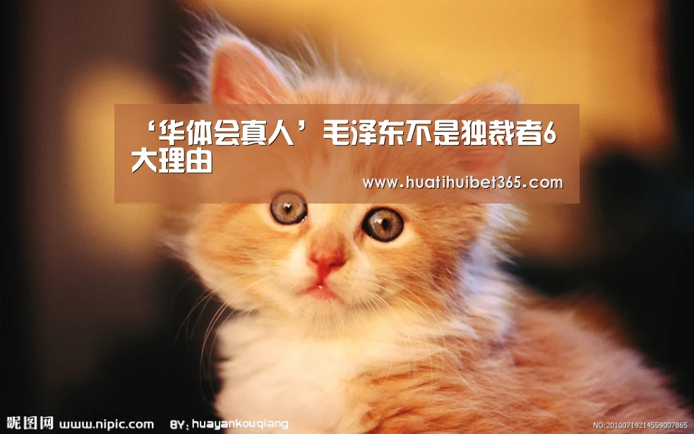 ‘华体会真人’毛泽东不是独裁者6大理由(图3) 华体会电竞