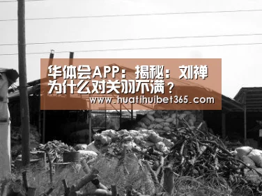 华体会APP:揭秘:刘禅为什么对关羽不满?(图1) 华体会下载