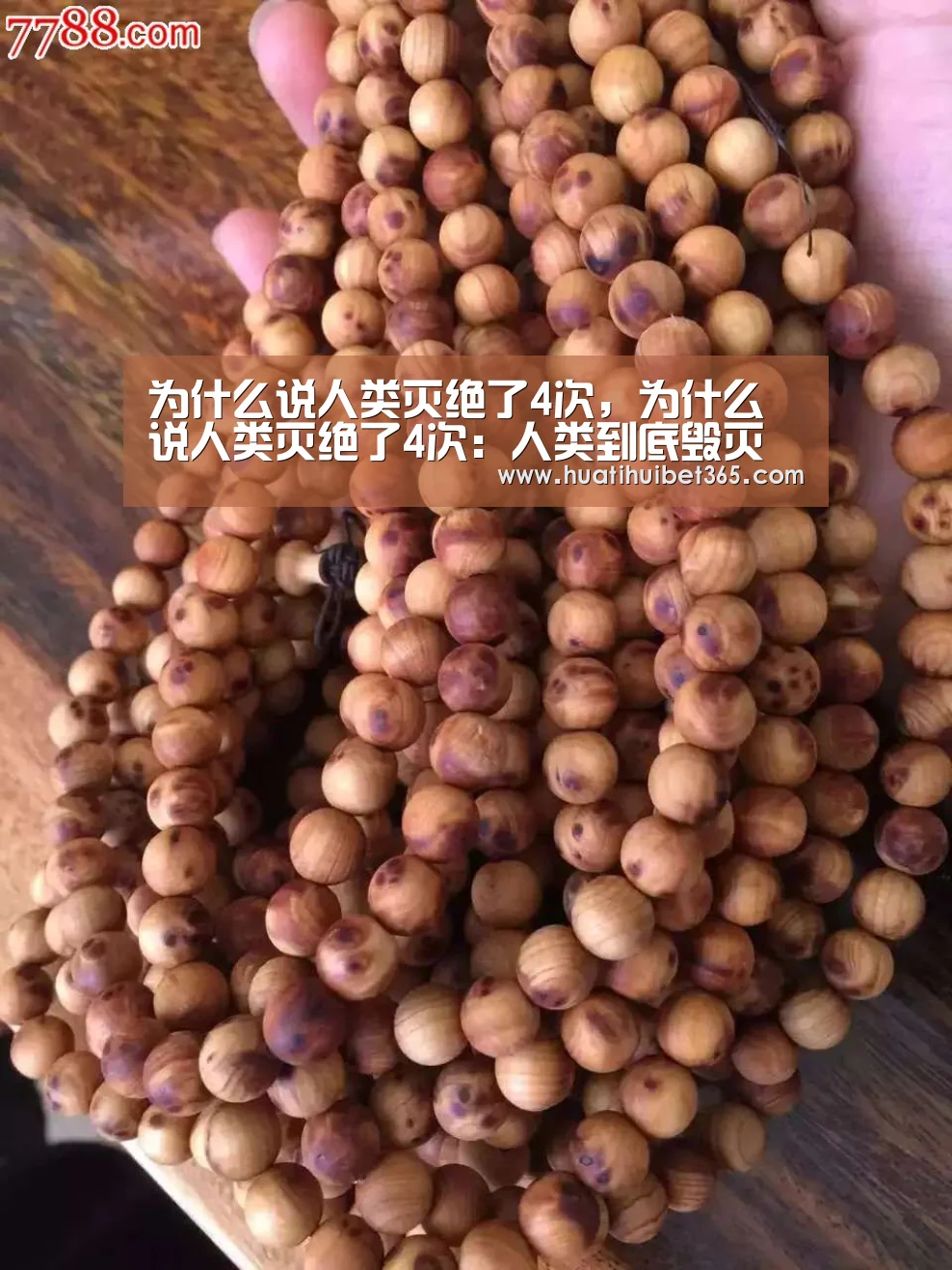 华体会真人