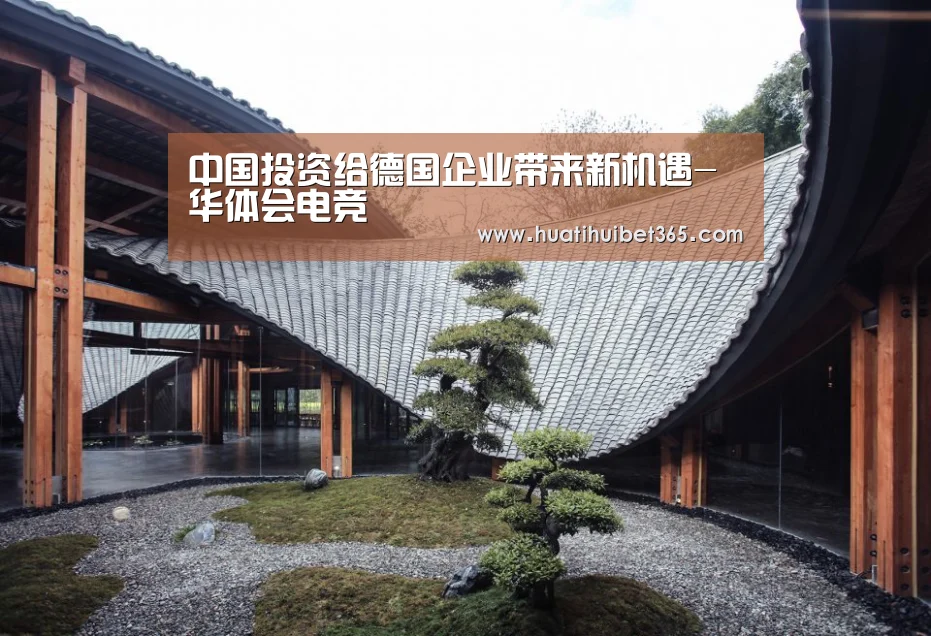 中国投资给德国企业带来新机遇-华体会电竞(图2) 华体会真人