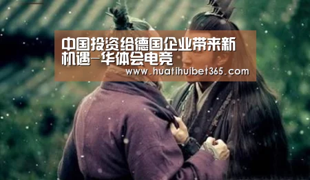 中国投资给德国企业带来新机遇-华体会电竞(图3) 华体会下载