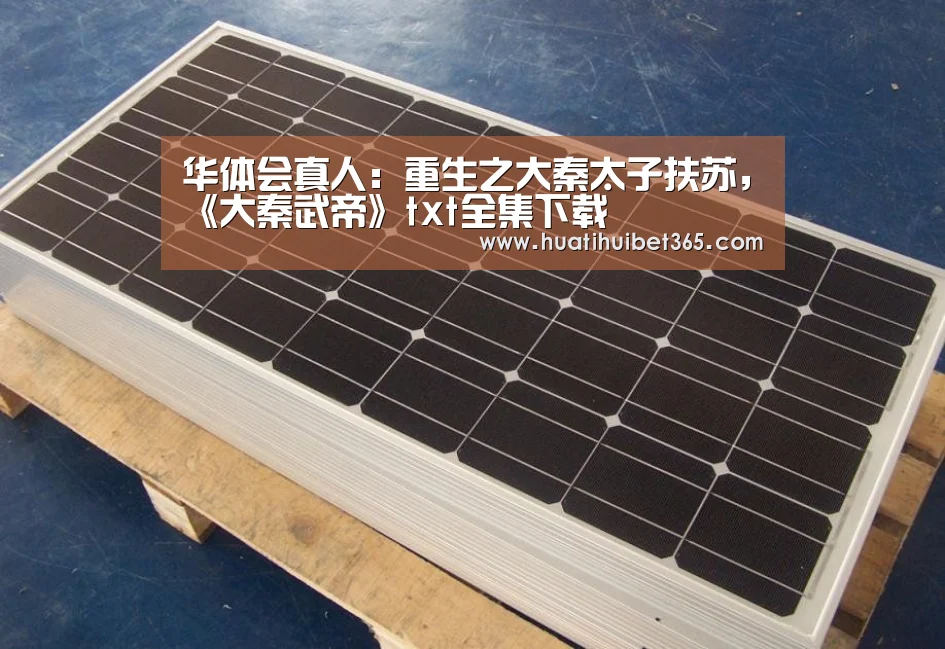 华体会真人:重生之大秦太子扶苏,《大秦武帝》txt全集下载(图4) 华体会真人