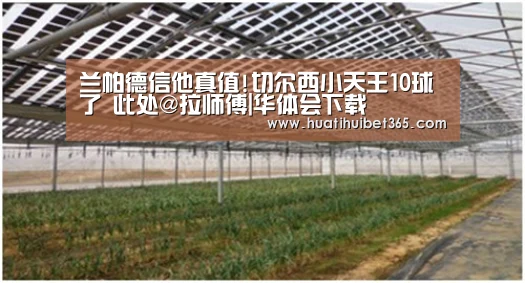兰帕德信他真值!切尔西小天王10球了 此处@拉师傅|华体会下载(图4) 华体会APP