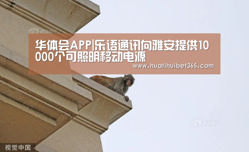 华体会APP|乐语通讯向雅安提供10000个可照明移动电源(图2) 华体会电竞