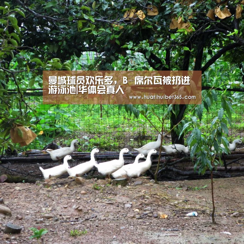 曼城球员欢乐多,B-席尔瓦被扔进游泳池|华体会真人(图1) 华体会下载