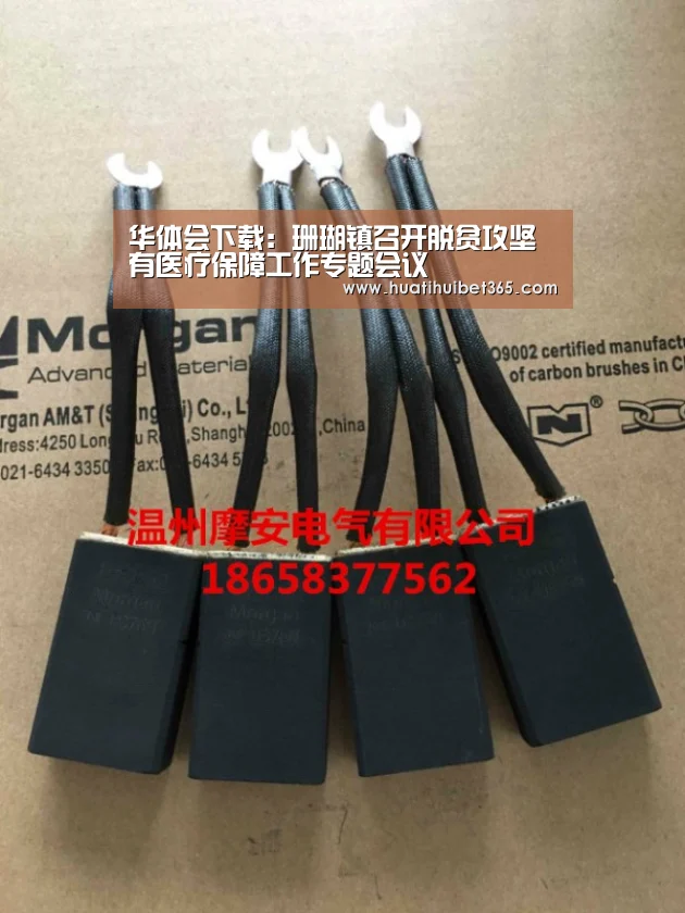 华体会下载:珊瑚镇召开脱贫攻坚有医疗保障工作专题会议(图3) 华体会真人