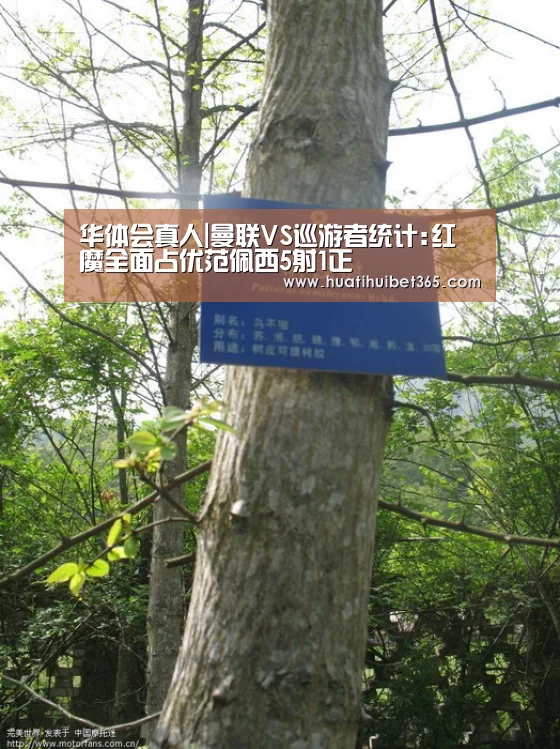 华体会APP