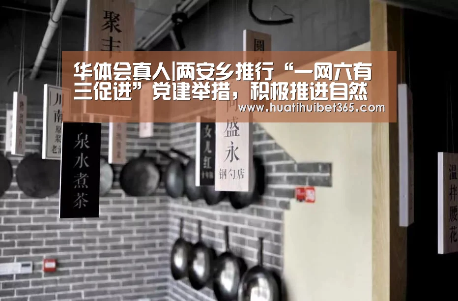 华体会真人|两安乡推行“一网六有三促进”党建举措,积极推进自然村党组织建设(图4) 华体会APP