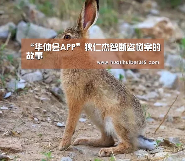 “华体会APP”狄仁杰智断盗树案的故事(图3) 华体会电竞
